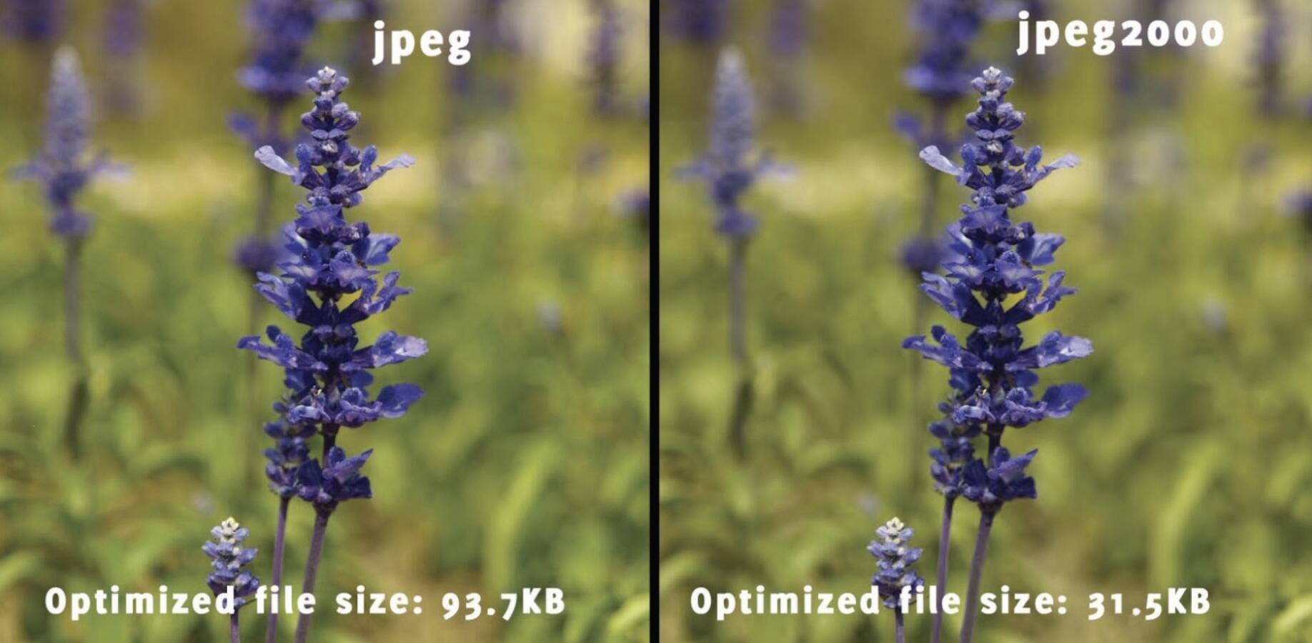 Side-by-side comparison of file size and image quality of JPEG and JPEG2000 images